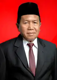 Profil Ir. H. DARMANSYAH HUSEIN - Info Pemilu